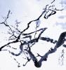 我的相冊